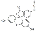 FU：异硫氰酸荧光素酯，异构体I 生物技术级