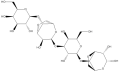 Alfa：琼脂糖MS8, 分子筛等级, 用于小DNA碎片